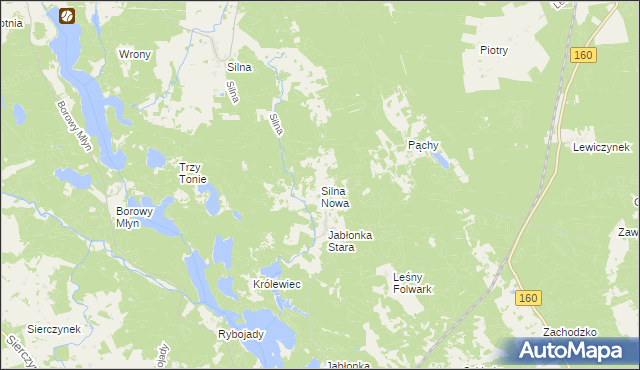 mapa Silna Nowa, Silna Nowa na mapie Targeo