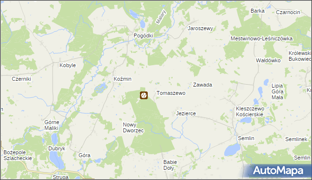 mapa Tomaszewo gmina Zblewo, Tomaszewo gmina Zblewo na mapie Targeo