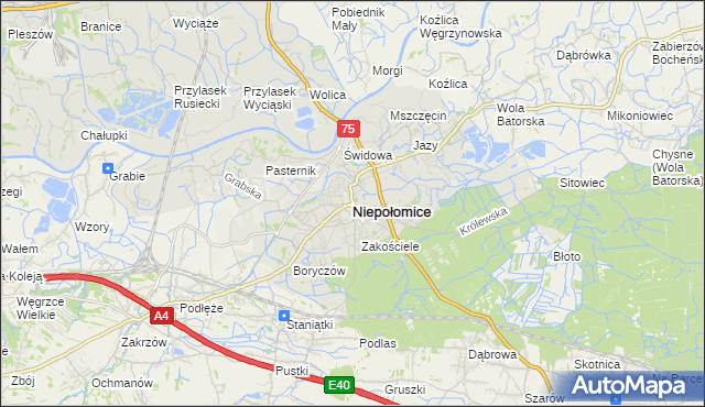 mapa Niepołomice, Niepołomice na mapie Targeo