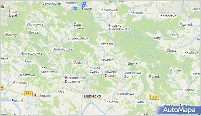 mapa Śliwnica gmina Dubiecko, Śliwnica gmina Dubiecko na mapie Targeo