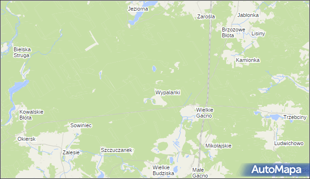 mapa Wypalanki gmina Śliwice, Wypalanki gmina Śliwice na mapie Targeo