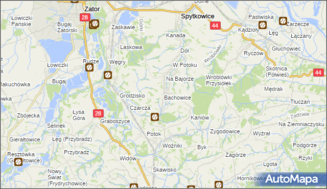 mapa Bachowice, Bachowice na mapie Targeo