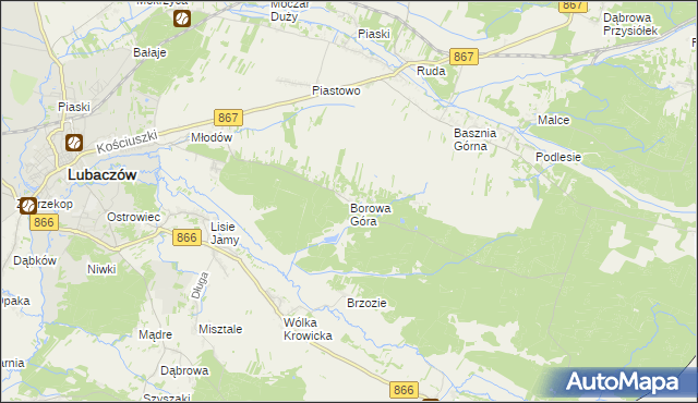 mapa Borowa Góra gmina Lubaczów, Borowa Góra gmina Lubaczów na mapie Targeo