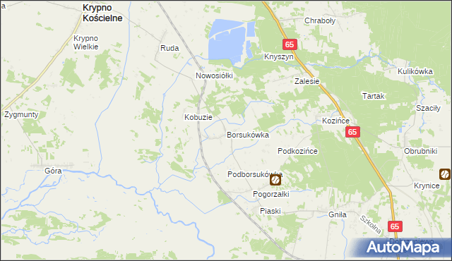 mapa Borsukówka, Borsukówka na mapie Targeo