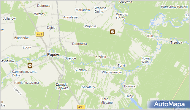 mapa Brzózki gmina Popów, Brzózki gmina Popów na mapie Targeo