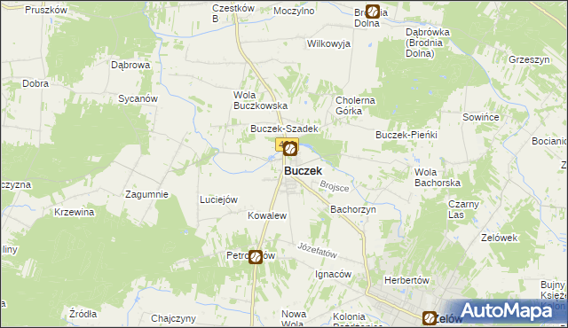 mapa Buczek powiat łaski, Buczek powiat łaski na mapie Targeo