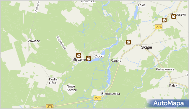 mapa Cibórz gmina Skąpe, Cibórz gmina Skąpe na mapie Targeo