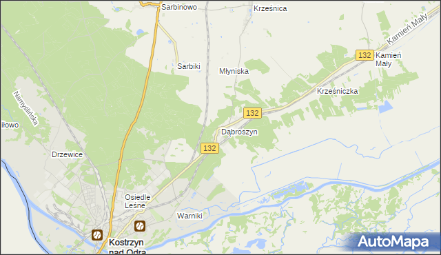 mapa Dąbroszyn gmina Witnica, Dąbroszyn gmina Witnica na mapie Targeo