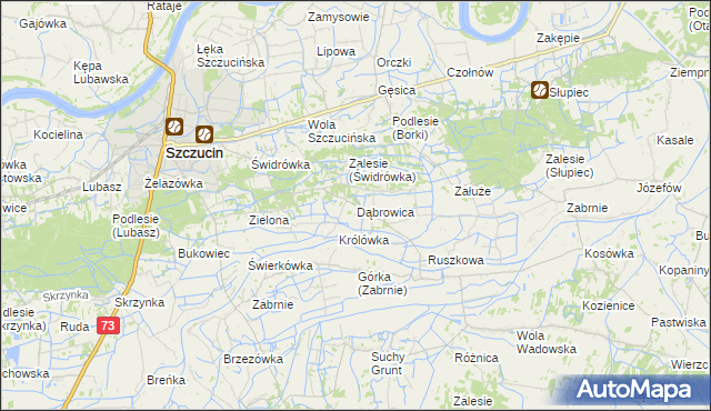 mapa Dąbrowica gmina Szczucin, Dąbrowica gmina Szczucin na mapie Targeo