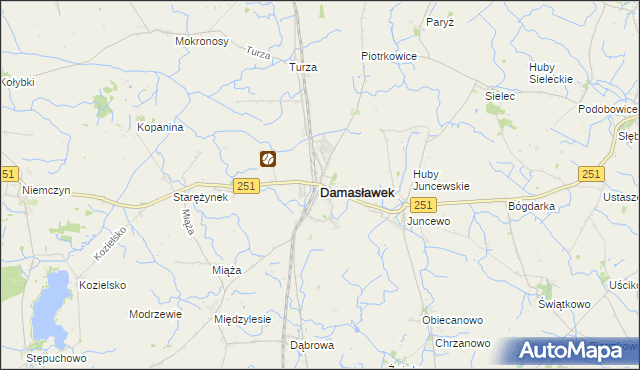 mapa Damasławek, Damasławek na mapie Targeo