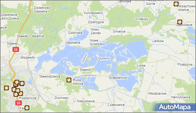 mapa Dyminy gmina Milicz, Dyminy gmina Milicz na mapie Targeo
