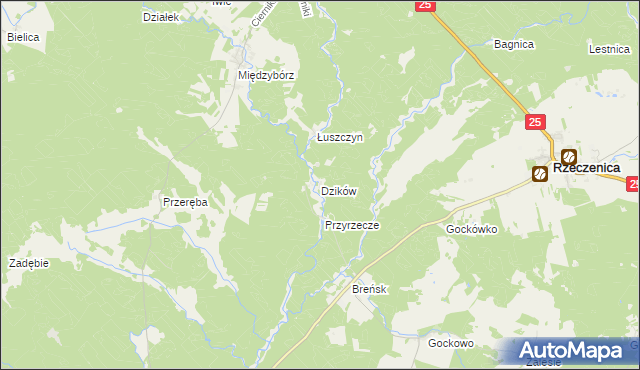 mapa Dzików gmina Rzeczenica, Dzików gmina Rzeczenica na mapie Targeo