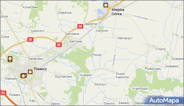 mapa Folusz gmina Rawicz, Folusz gmina Rawicz na mapie Targeo