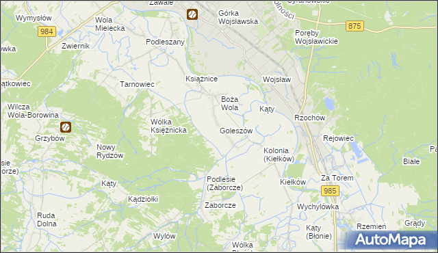 mapa Goleszów gmina Mielec, Goleszów gmina Mielec na mapie Targeo
