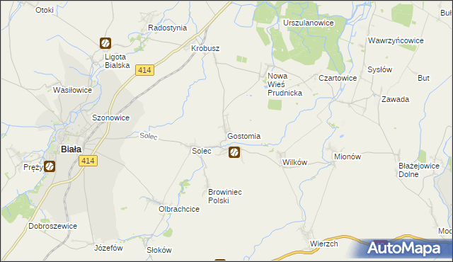 mapa Gostomia gmina Biała, Gostomia gmina Biała na mapie Targeo