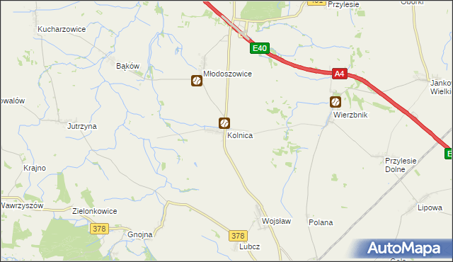 mapa Kolnica gmina Grodków, Kolnica gmina Grodków na mapie Targeo