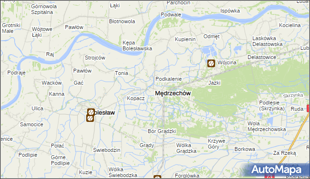 mapa Mędrzechów, Mędrzechów na mapie Targeo