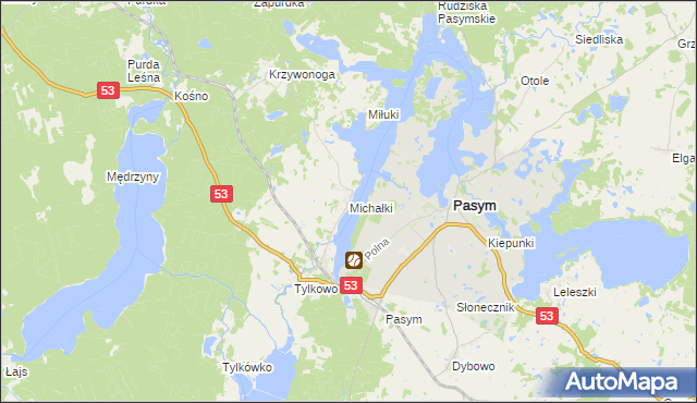 mapa Michałki gmina Pasym, Michałki gmina Pasym na mapie Targeo