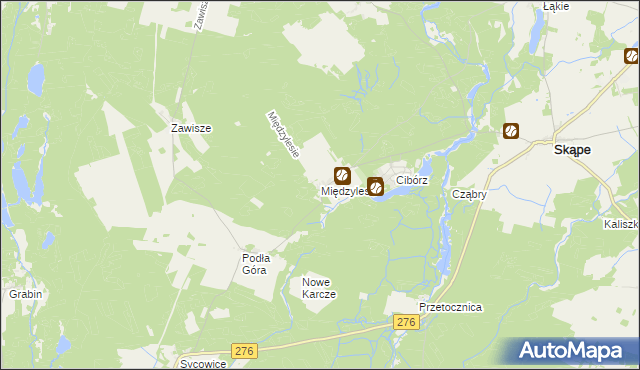 mapa Międzylesie gmina Skąpe, Międzylesie gmina Skąpe na mapie Targeo