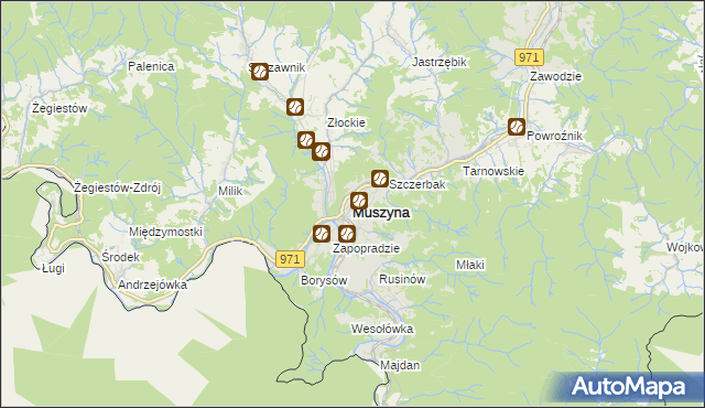 mapa Muszyna, Muszyna na mapie Targeo