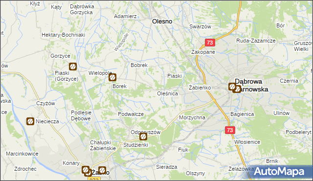 mapa Oleśnica gmina Olesno, Oleśnica gmina Olesno na mapie Targeo