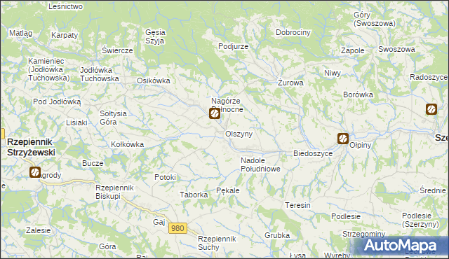 mapa Olszyny gmina Rzepiennik Strzyżewski, Olszyny gmina Rzepiennik Strzyżewski na mapie Targeo