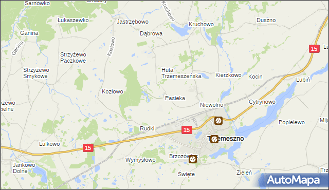 mapa Pasieka gmina Trzemeszno, Pasieka gmina Trzemeszno na mapie Targeo