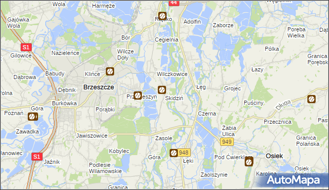 mapa Skidziń, Skidziń na mapie Targeo