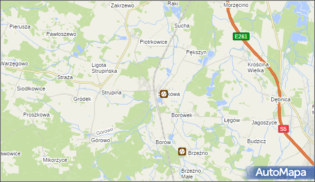 mapa Skokowa, Skokowa na mapie Targeo