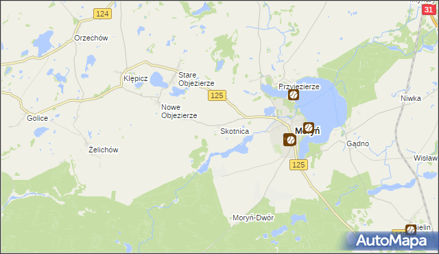 mapa Skotnica gmina Moryń, Skotnica gmina Moryń na mapie Targeo