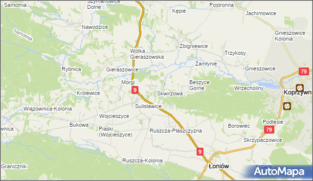 mapa Skwirzowa, Skwirzowa na mapie Targeo