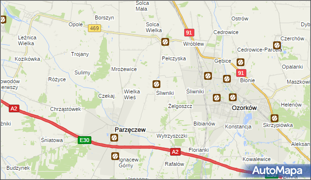 mapa Śliwniki gmina Parzęczew, Śliwniki gmina Parzęczew na mapie Targeo