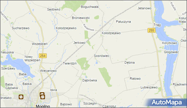 mapa Sosnowca, Sosnówiec na mapie Targeo