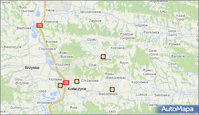 mapa Sowina gmina Kołaczyce, Sowina gmina Kołaczyce na mapie Targeo