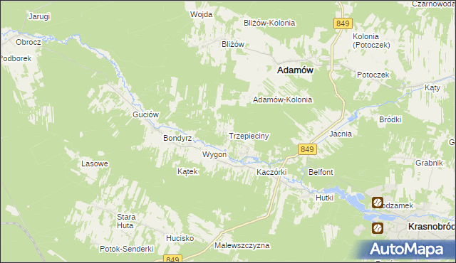 mapa Trzepieciny, Trzepieciny na mapie Targeo