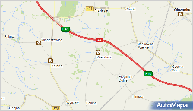 mapa Wierzbnik gmina Grodków, Wierzbnik gmina Grodków na mapie Targeo