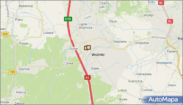 mapa Woźniki powiat lubliniecki, Woźniki powiat lubliniecki na mapie Targeo