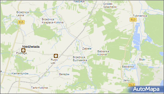mapa Zabiele gmina Niedźwiada, Zabiele gmina Niedźwiada na mapie Targeo