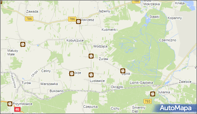 mapa Żuraw gmina Janów, Żuraw gmina Janów na mapie Targeo