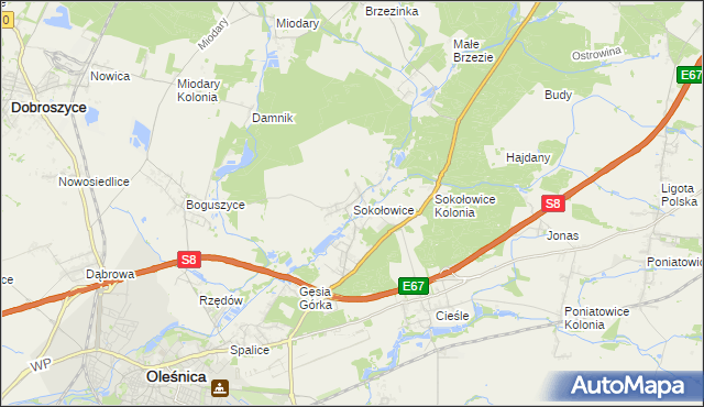 mapa Sokołowice gmina Oleśnica, Sokołowice gmina Oleśnica na mapie Targeo