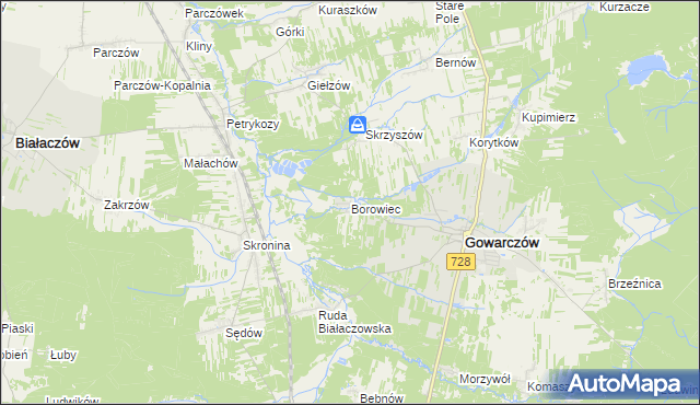 mapa Borowiec gmina Gowarczów, Borowiec gmina Gowarczów na mapie Targeo