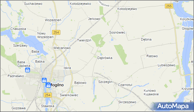 mapa Dąbrówka gmina Mogilno, Dąbrówka gmina Mogilno na mapie Targeo