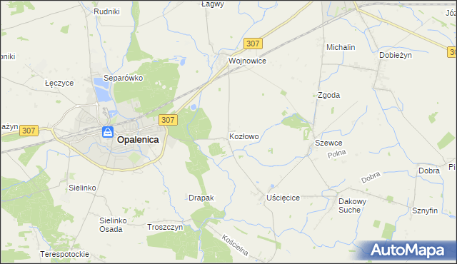 mapa Kozłowo gmina Opalenica, Kozłowo gmina Opalenica na mapie Targeo