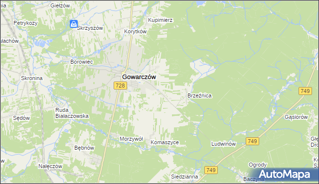 mapa Rogówek gmina Gowarczów, Rogówek gmina Gowarczów na mapie Targeo