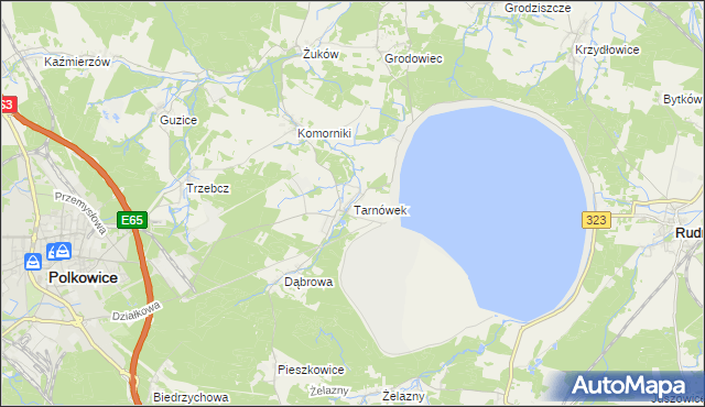 mapa Tarnówek gmina Polkowice, Tarnówek gmina Polkowice na mapie Targeo