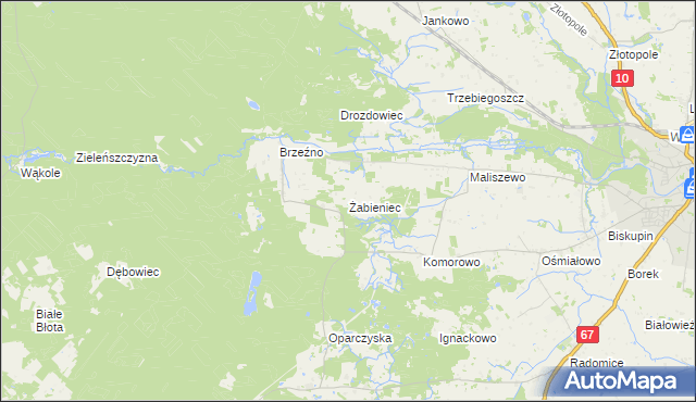 mapa Żabieniec gmina Lipno, Żabieniec gmina Lipno na mapie Targeo