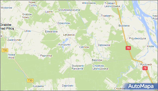 mapa Celinów gmina Grabów nad Pilicą, Celinów gmina Grabów nad Pilicą na mapie Targeo
