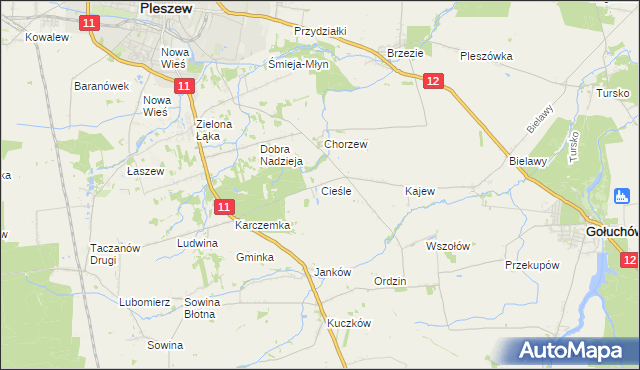 mapa Cieśle gmina Gołuchów, Cieśle gmina Gołuchów na mapie Targeo