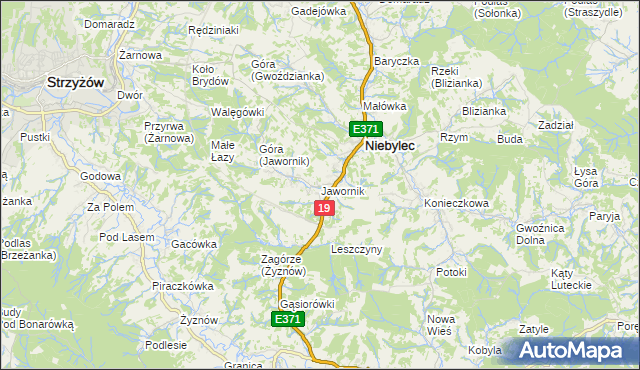 mapa Jawornik gmina Niebylec, Jawornik gmina Niebylec na mapie Targeo