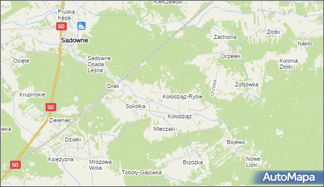 mapa Kołodziąż-Rybie, Kołodziąż-Rybie na mapie Targeo